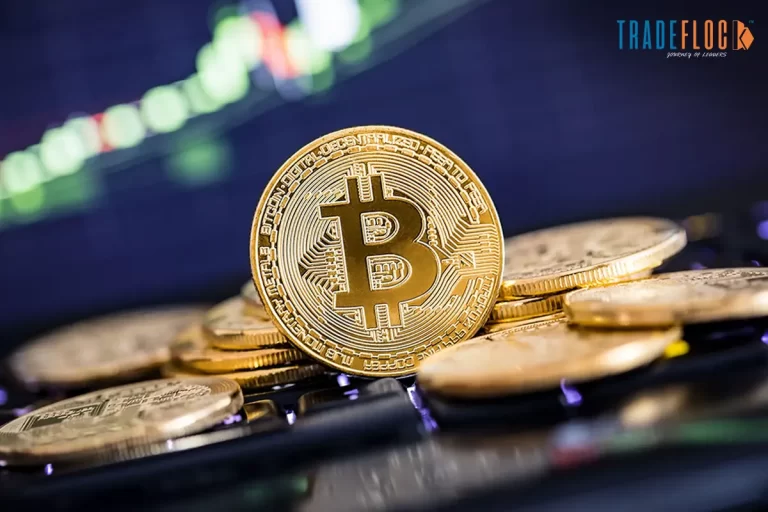 Bitcoin Tops $93K Amid Dollar Dip & Bullish Sentiment