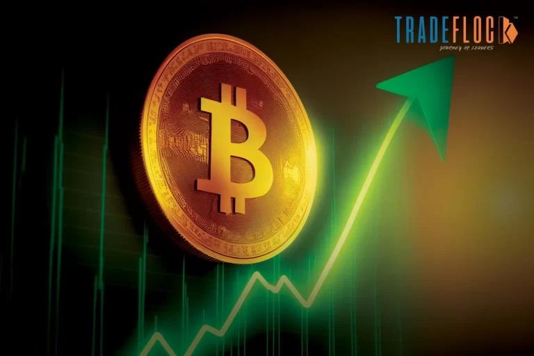Bitcoins Touches the $81000 Market to Hit All-Time High