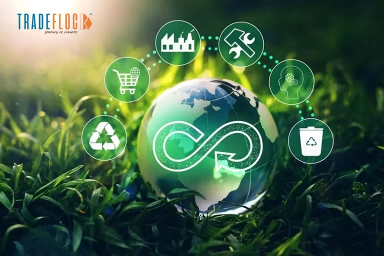 Sustainable-Startups-The-Future-of-the-Startup-Ecosystem-in-Asia-Webp