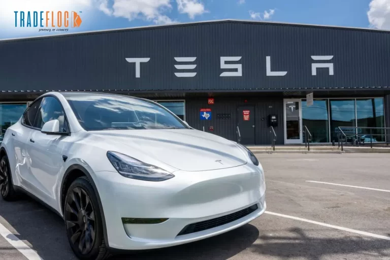 Tesla Starts Hiring in India for Specific Job Roles