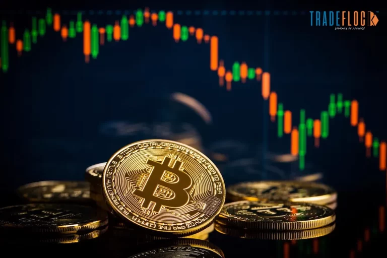 Bitcoin Breaks $110K Barrier, Fueled by Stablecoin Bill Hopes and Mega Buys